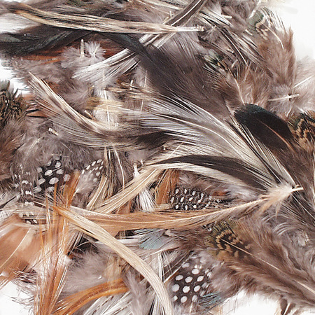 CREATIVITY STREET Natural Feathers, Natural Color, Assorted Sizes, 1/2 oz. Pack, PK3 PAC4514